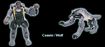 Cassie Wolf