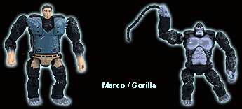 Marco Gorilla